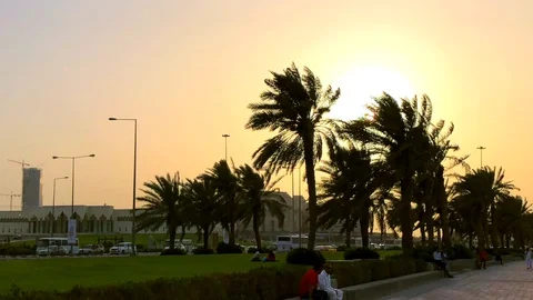 Palm sunset Stock Footage 94152452