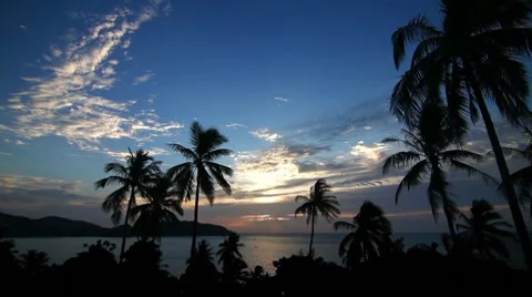 Palm sunset loop Stock Footage 7272995