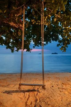 Palm with swing on sunset background Stock Photos