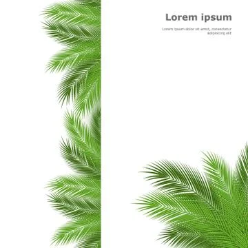 Palm template Stock Illustration