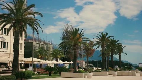 Palm, tivat, montenegro Stock Footage