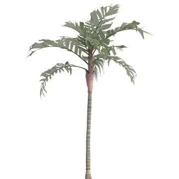Palm Tree 3d illustration isolated on the white background Stock Illustration