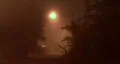 Palm Tree & Alley Way On Misty Night HD Footage