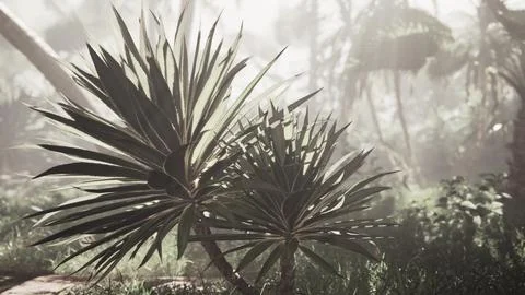 Palm Tree Amid Forest Stock Illustration