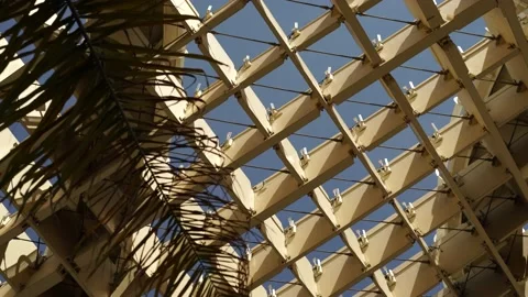 Palm tree and at the background the metropol parasol in Seville 스톡 동영상 197383589