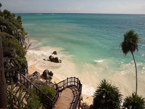 Palm tree and beach at the Tulum Maya ruins in Mexico. Stock Footage 100471573