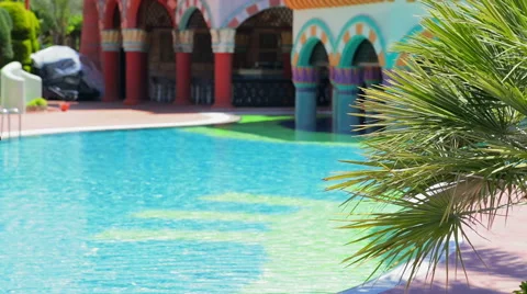 Palm tree and blu pool Stock Footage 49445919