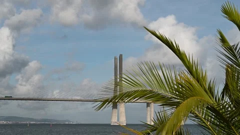 Palm tree and bridge over Tagus River Vidéo 326500078