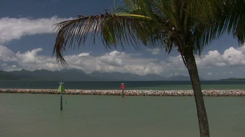 Palm tree and cloud-topped mountains Stock Footage 863667