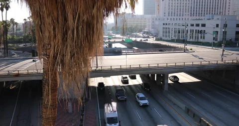 Palm Tree And Downtown LA Freeway Stock-Footage 225782812