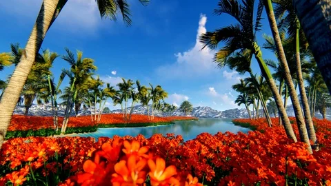 Palm tree and field of flower on a sunny day Stock Footage 87972072