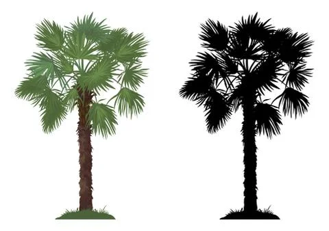 Palm Tree and Grass Illustrazione stock