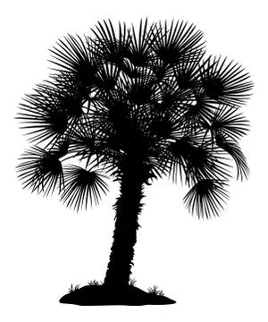 Palm Tree and Grass Silhouettes Stock Illustration