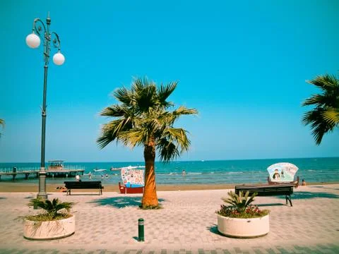 A palm tree and a lantern on the beach in Cyprus Stock Photos
