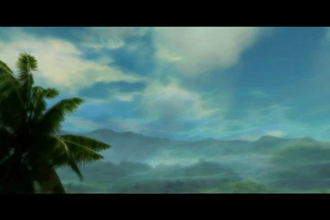 Palm tree and misty clouds landscape Stock-Footage 562531