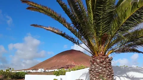 Palm Tree and Mountain Houses, Lanzarote Stock Footage 45348077