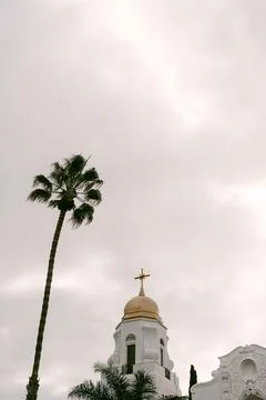 Palm tree and partial view of Catholic Church Stock Photos