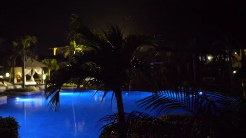 Palm tree and pool at night at a tropical resort Stock Footage 87092861