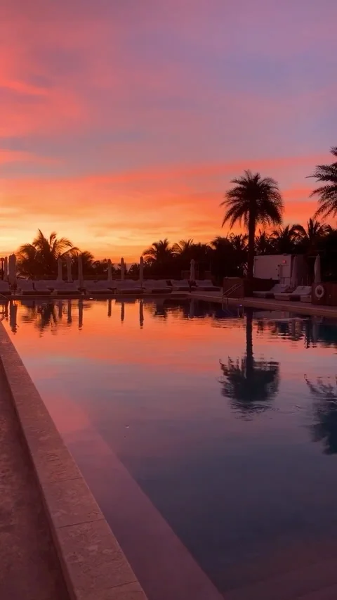 Palm Tree and Pool Sunset 720P Stock Footage 179647752