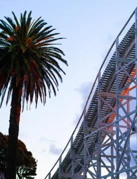 Palm tree and roller coaster Fotos Stock