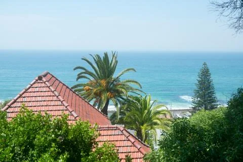 Palm tree and roof on ocean Stock Photos
