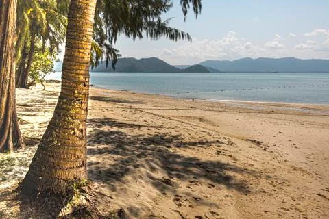 Palm tree and sandy beach on the Strait of Malacca. langkawi Thailand Asia. Stock Photos