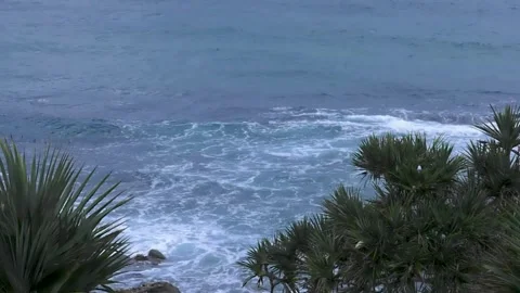 Palm tree and sky, clouds moving timelapse 库存影片 281579643