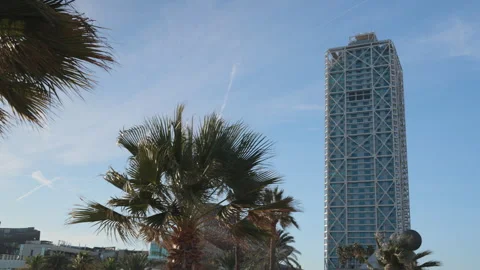 Palm tree and skyscraper against blue sky in Barcelona Stock Footage 262558889
