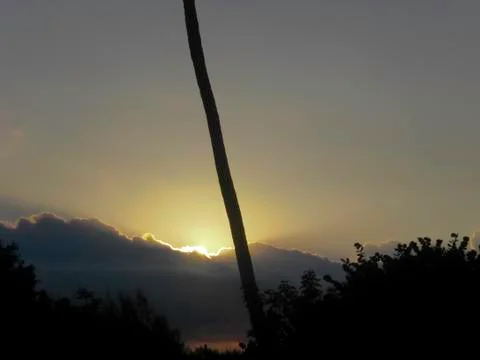 Palm Tree and Sunset Stock Photos