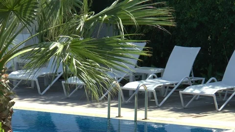 Palm Tree And Swimming Pool Stock Footage 121326677