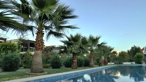 Palm Tree And Swimming Pool Evening Light Stock Footage 121455357