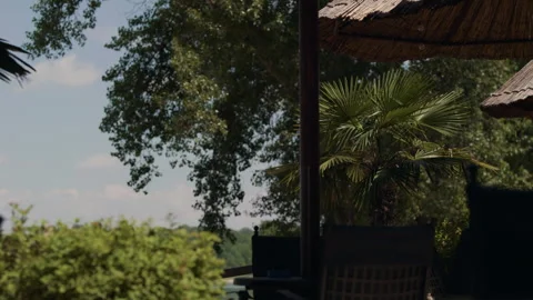 Palm Tree and Thatched Umbrellas at Jarun Terrace Video stock 337263260