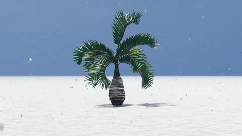 Palm Tree Animation in Snow 스톡 동영상 329047541