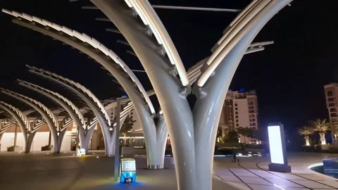 Palm Tree Art Stock Footage 195156292