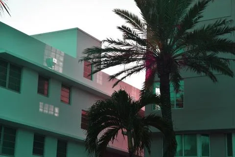 Palm tree on the background of a building in the evening. Stock Photos