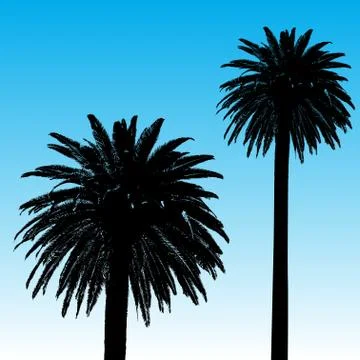 Palm tree background Stock Illustration