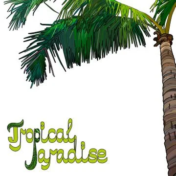 Palm tree background Stock Illustration