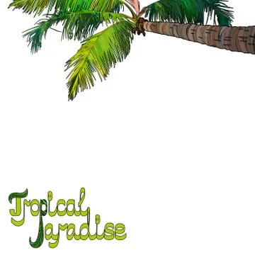 Palm tree background Stock Illustration