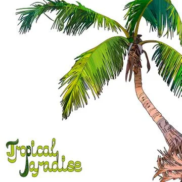 Palm tree background Stock Illustration