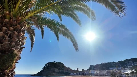 Palm tree on the beach with bright sun and castle on the mountain, 4K Stock Footage 263369993