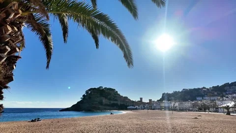 Palm tree on the beach with bright sun and castle, 4K Stock Footage 263370002