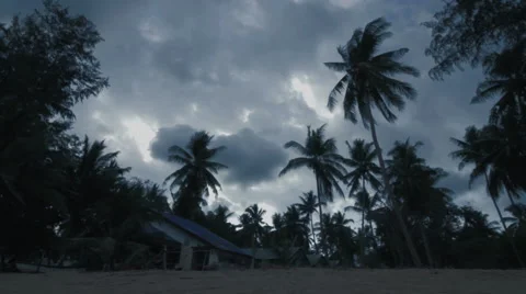 Palm Tree Beach at Dusk Stock Footage 66064927