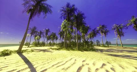 Palm tree beach landscape under bright blue sky creating serene atmosphere Stock Illustration