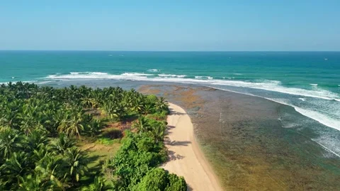 Palm tree beach panorama, symbolizing tropical tourism, summer and travel Video stock 341375344