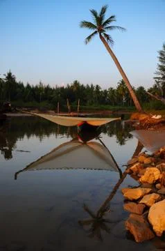 Palm tree on the beach Stock-Fotos