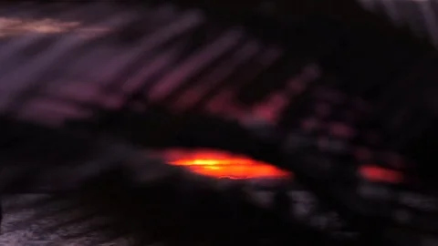 Palm tree at the beach sunset 스톡 동영상 78020027