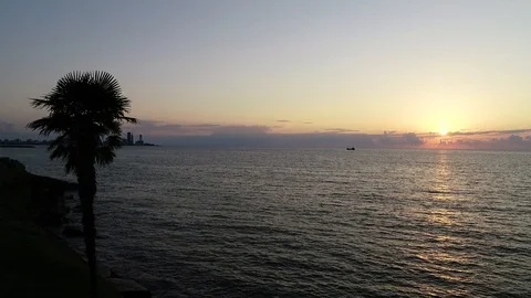 Palm Tree With The Beautiful Sunset Over The Sea At Background Stock Footage 93948966