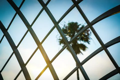 Palm tree behind grid during a sunny day Photos