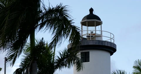 A palm tree blows in the wind by a lighthouse in Puerto Rico. Stock Footage 147951211