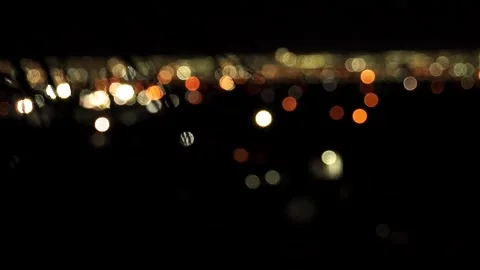 Palm Tree (Bokeh) 1 Stock Footage 249646507